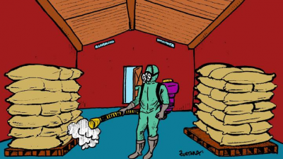 Gestão da qualidade dos alimentos armazenados